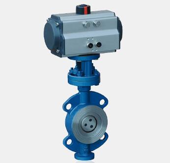 彈性硬密封對夾蝶閥